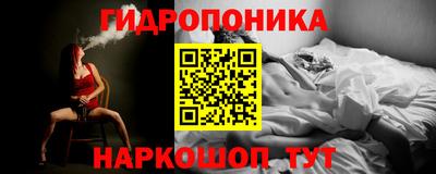 apvp Краснодар