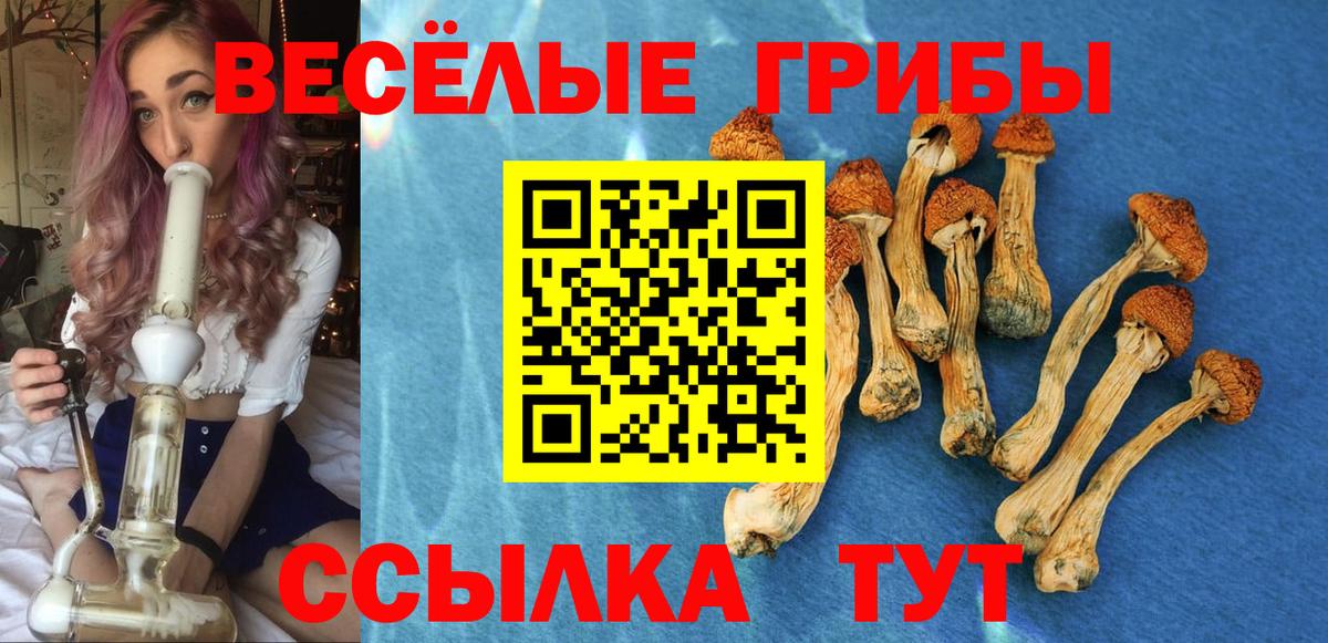Псилоцибиновые грибы мицелий Когалым