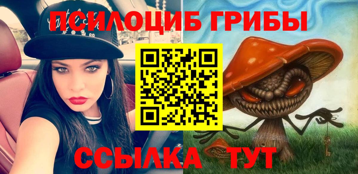 Галлюциногенные грибы Psilocybine cubensis  Вход с VPN  Псилоцибиновые грибы Cubensis  Когалым 